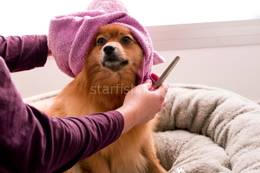 Happy Pet