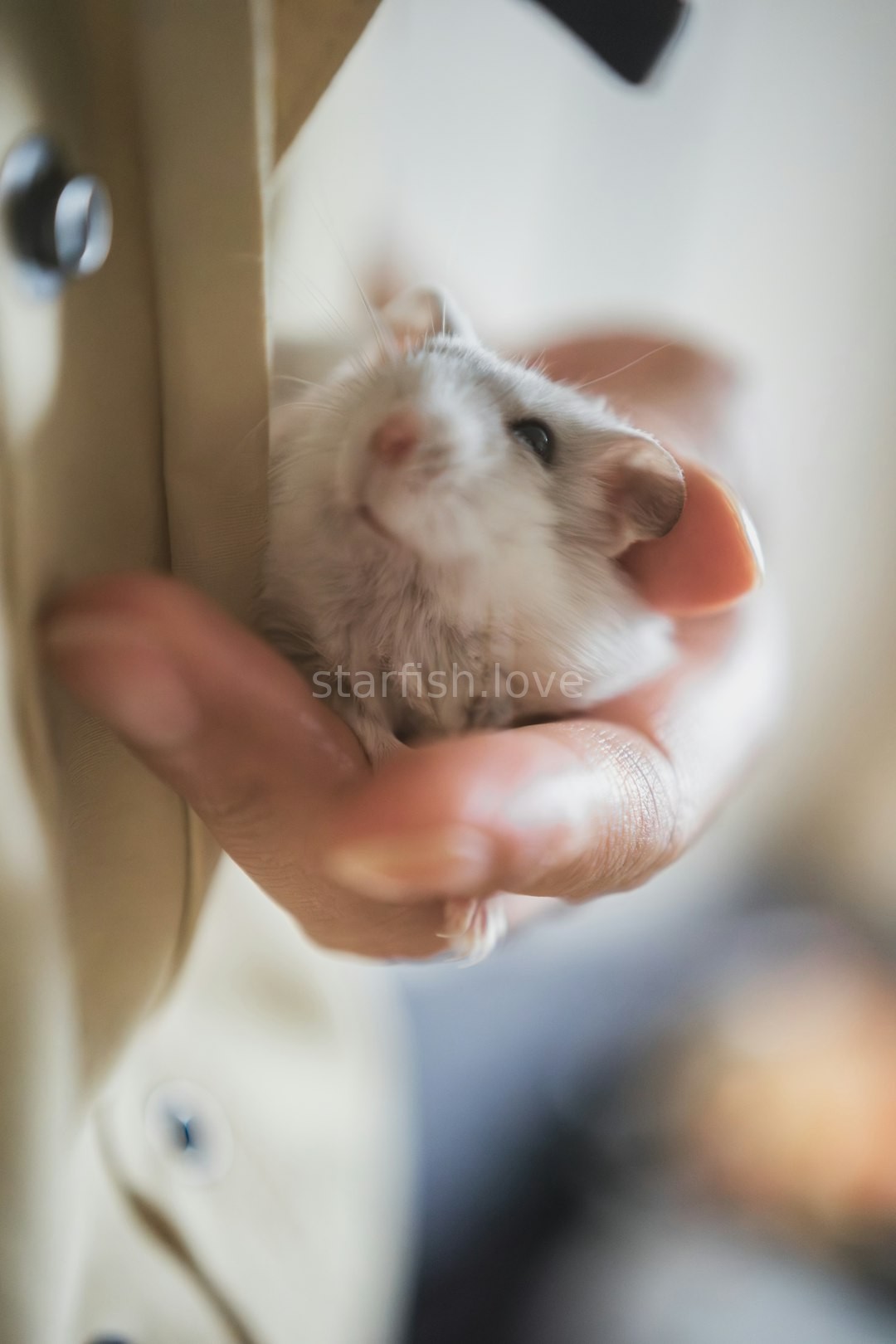 Grooming